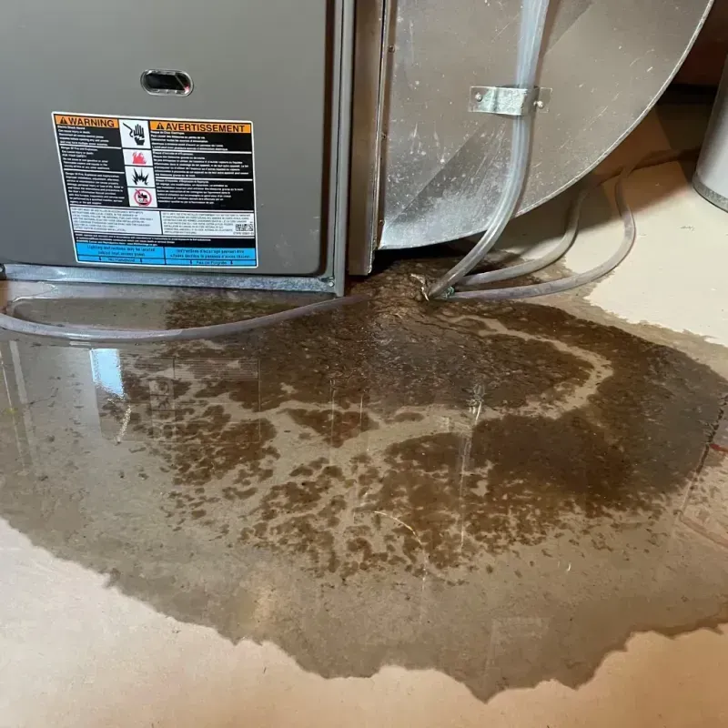 Appliance Leak Cleanup in Terrytown, NE